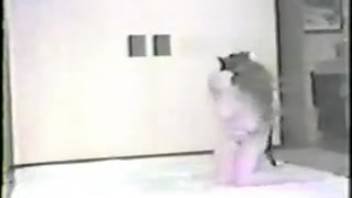 Vintage hardcore animal sex pounding scene