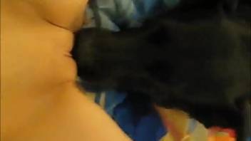 Depraved sluts roughly fucked by pet dogs