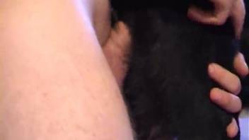 Ebony hound is aggressively pounded by a guy's massive erection