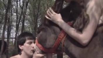 Outdoor orgy focusing on crazy bestiality fucking