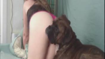 Steamy bestiality encounter at home with a nude spouse in full arousal